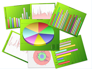 ENVI Software Charts