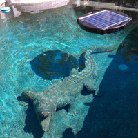 savior solar pool pump and filter system